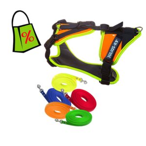 Sparset "Mantrailing NEON"