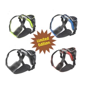 "GUARD YOUR JOINTS" Y-Geschirr